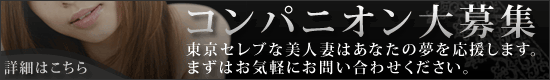 コンパニオン大募集